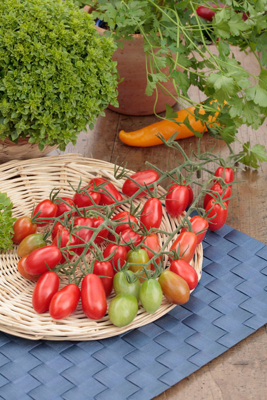 Gehören Tomaten zum Obst oder zum Gemüse?